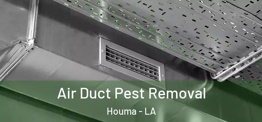 Air Duct Pest Removal Houma - LA