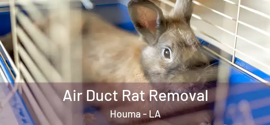 Air Duct Rat Removal Houma - LA