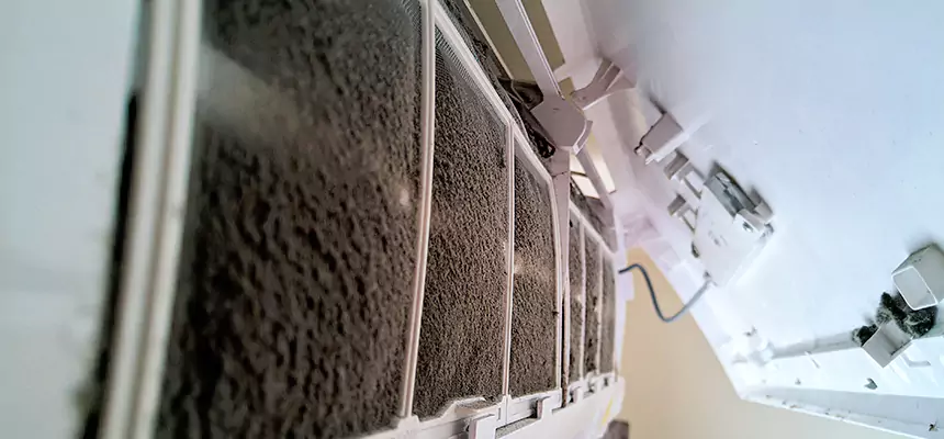 Preventive Air Duct Bacteria Removal in Houma