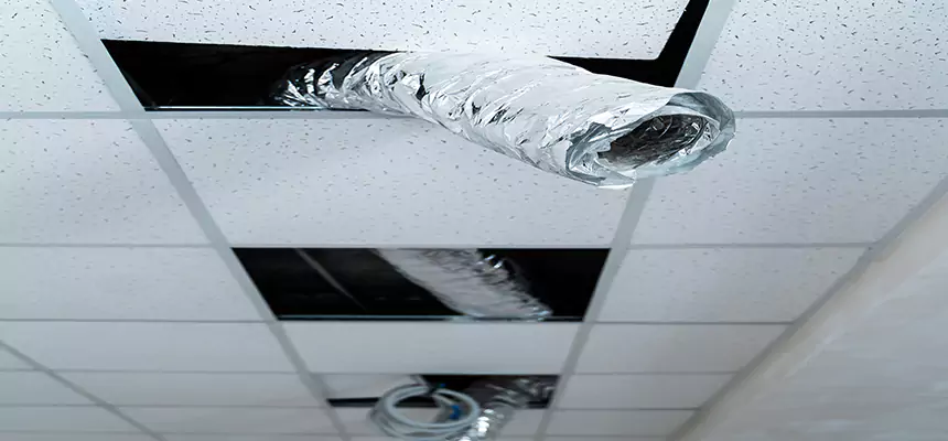 Our Air Duct Pet Hair Removal Services in Houma, LA