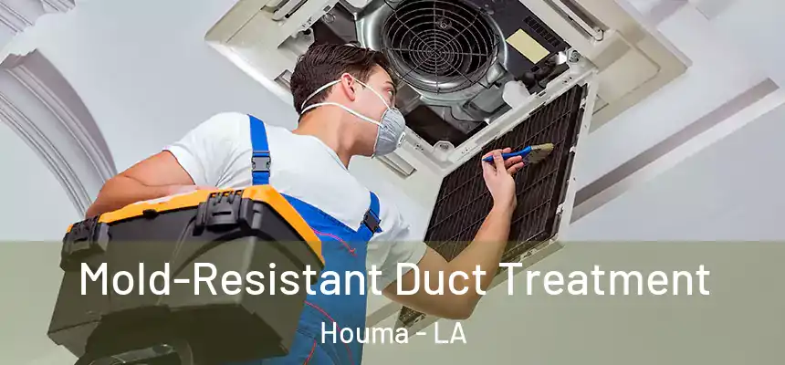 Mold-Resistant Duct Treatment Houma - LA