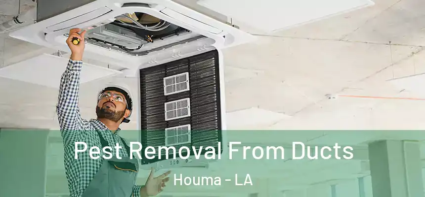 Pest Removal From Ducts Houma - LA