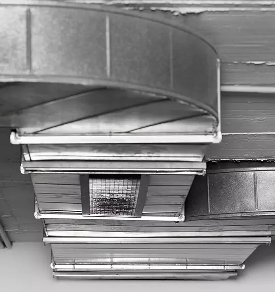 Professional Air Duct Pet Hair Removal in Houma, LA