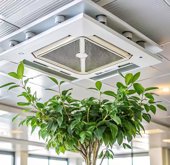 Why Homeowners & Businesses Trust Us in Houma, LA?