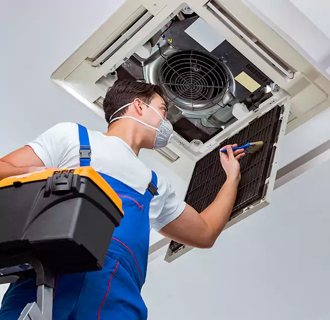 Why Homeowners & Businesses Trust Us in Houma, LA?