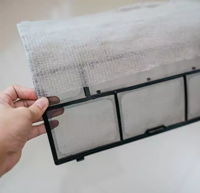 Why Homeowners & Businesses Trust Us in Houma, LA?